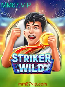 Explorando o Mundo de StrikerWILD